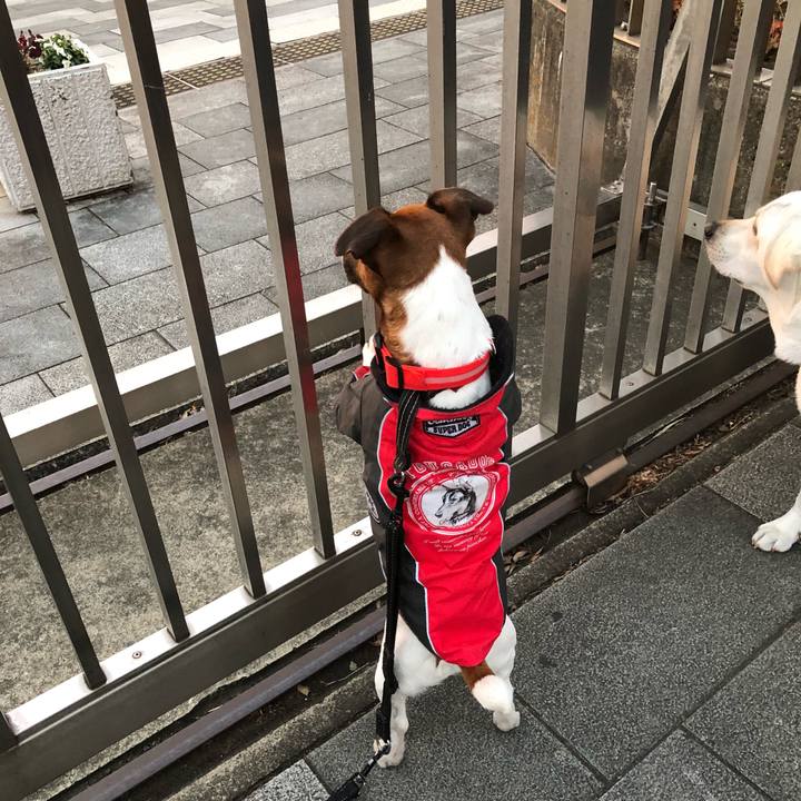 4d033c88 4ea0 4efe 87b1 0a5d5185fdd3 1515365607078