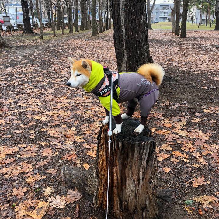 4d034983 94ad 40c0 a624 6b4ede74c23d 1586480330204