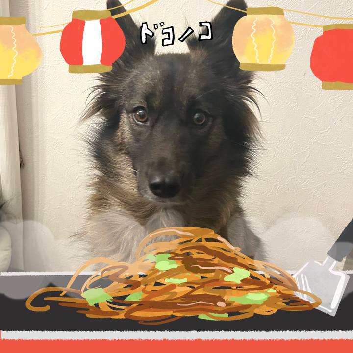 4d034be7 7c34 44dc 9c62 c8caa3682c16 1755406955436