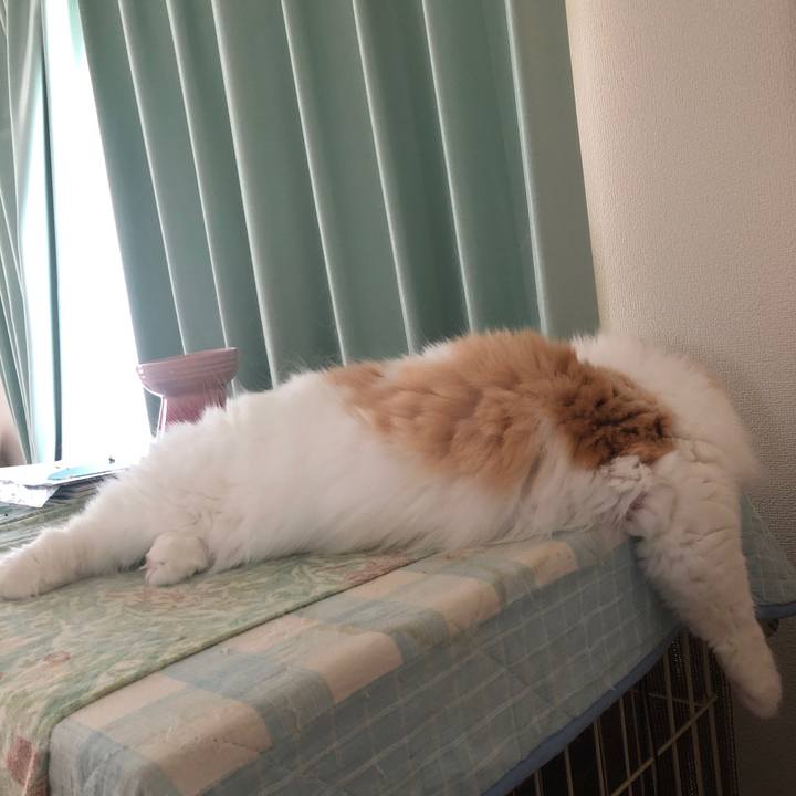 4d036032 7d6d 4222 96ed 3baaaa62ff27 1627940716482