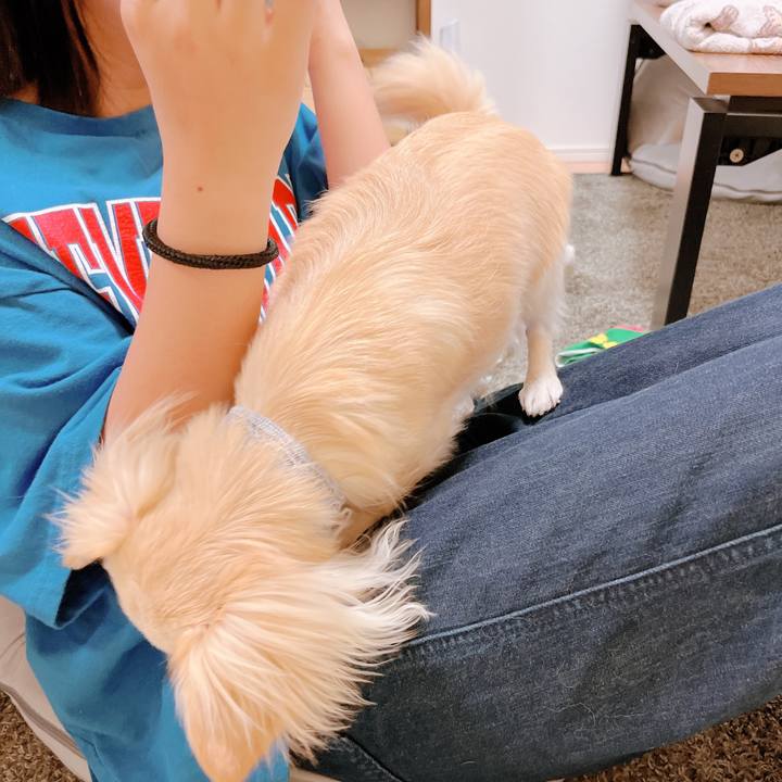 4d0379e7 7568 4669 a0ba 5774b20cba0b 1654171954459