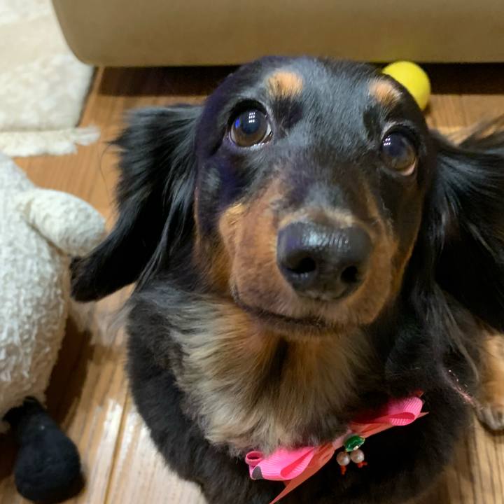 4d03917c 07f9 4e8f 82c3 683b0bffdb11 1637407254515