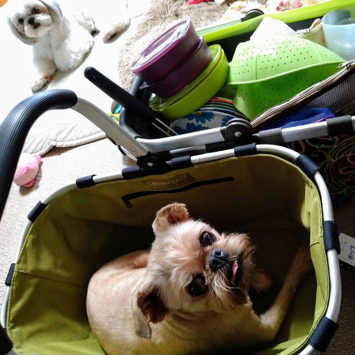 4d039ea4 2f85 44bb b50c 15c635da10a0 1619267925757