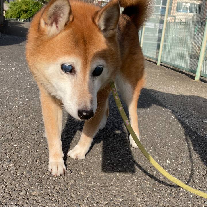 4d045e75 e72c 43b2 96f7 3ca52c4e42fd 1697239948763