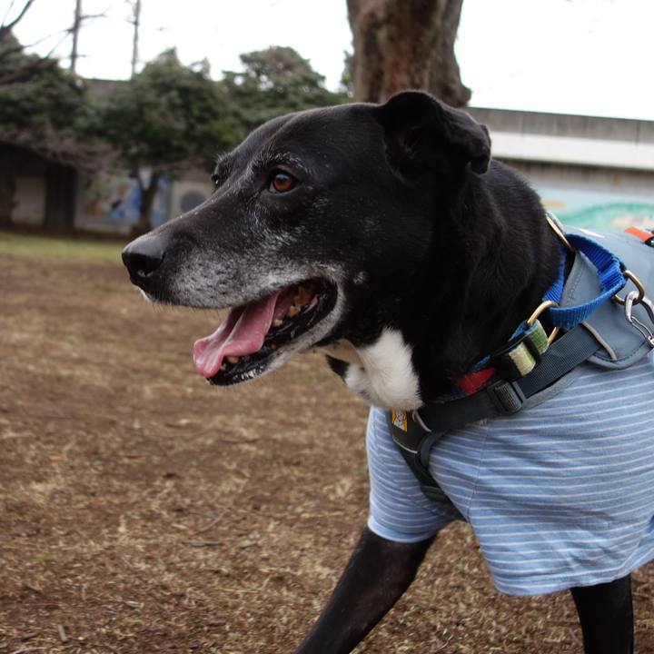 4d048361 0e65 4ae5 af9e e398a40eb2c6 1741737655710