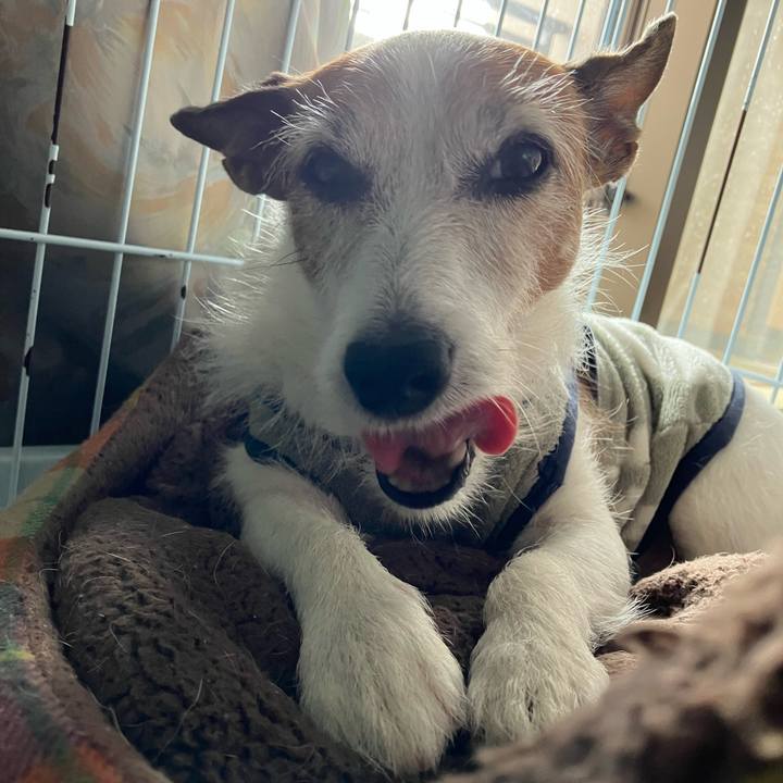 4d04a7a4 fe84 462d 98da 17bb2e7fa782 1666221621549