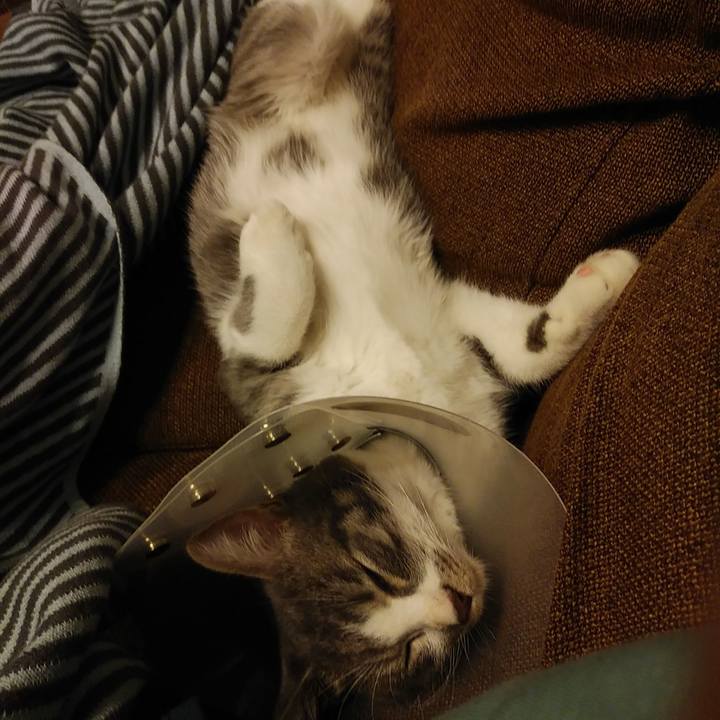 4d04a9ce b74b 4a2a aa67 73b1593ecdb1 1571149647760