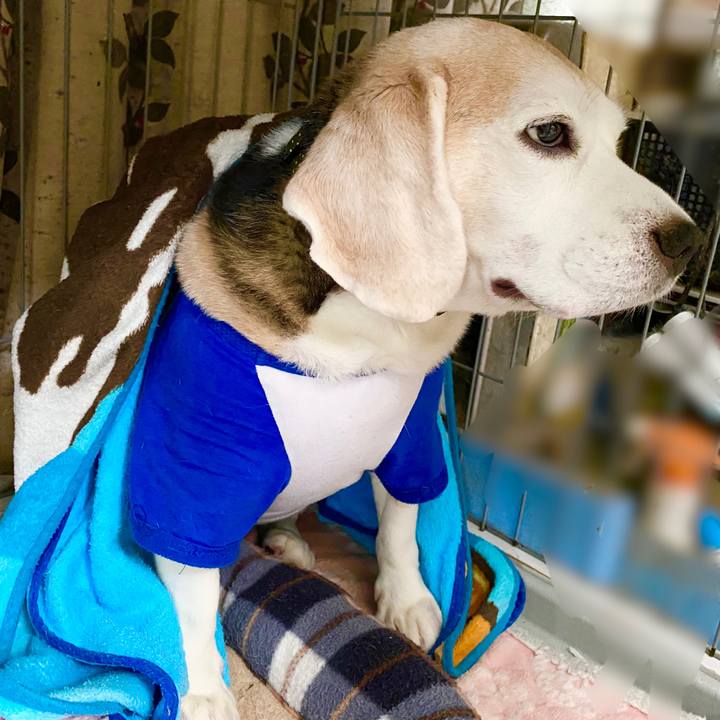 4d04dae2 efab 47ef 888b d18ca82b49aa 1634873832974