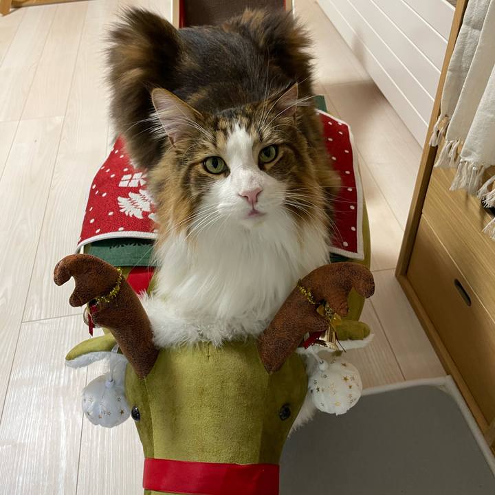 4d04ef13 15f9 4ec1 a35e f622f0cd45ba 1701460243673