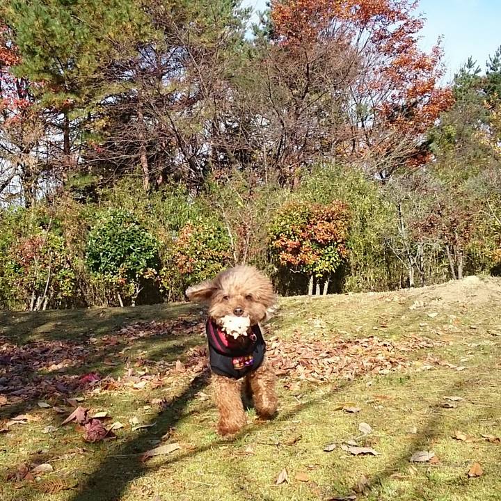 4d04fafa be24 4c5a 96ea 081d46a56709 1511066470977