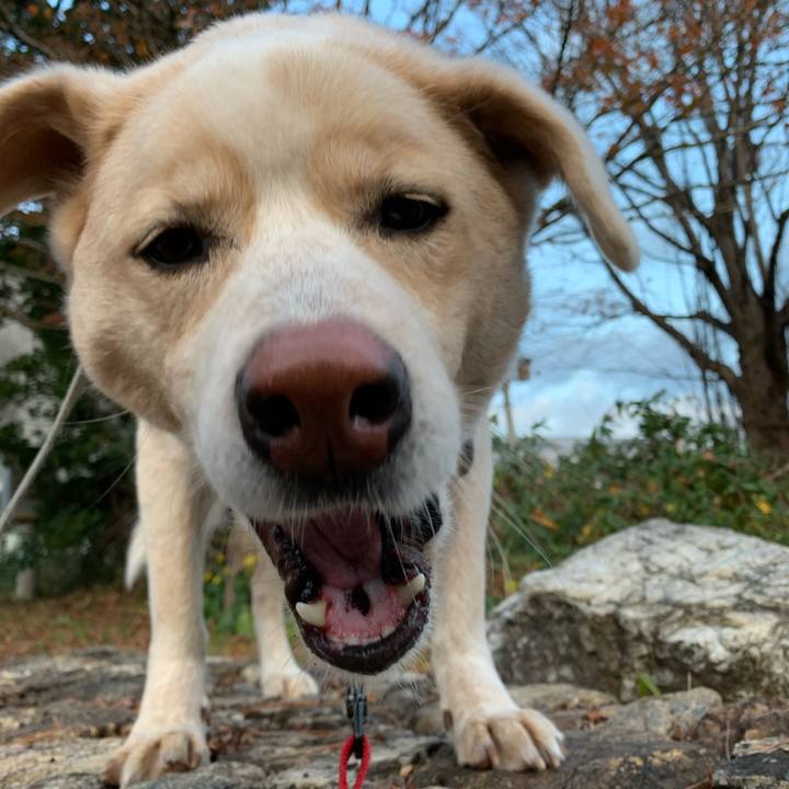 4d0548d0 f74d 4dc5 8394 90b5ca9657a4 1577229717098