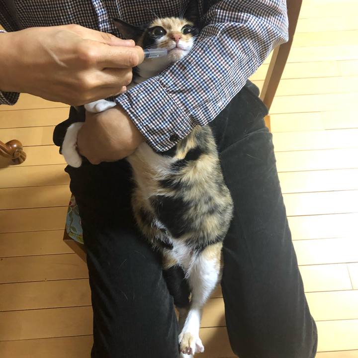 4d055e9a f560 4916 a173 51052f0c3635 1584149610306