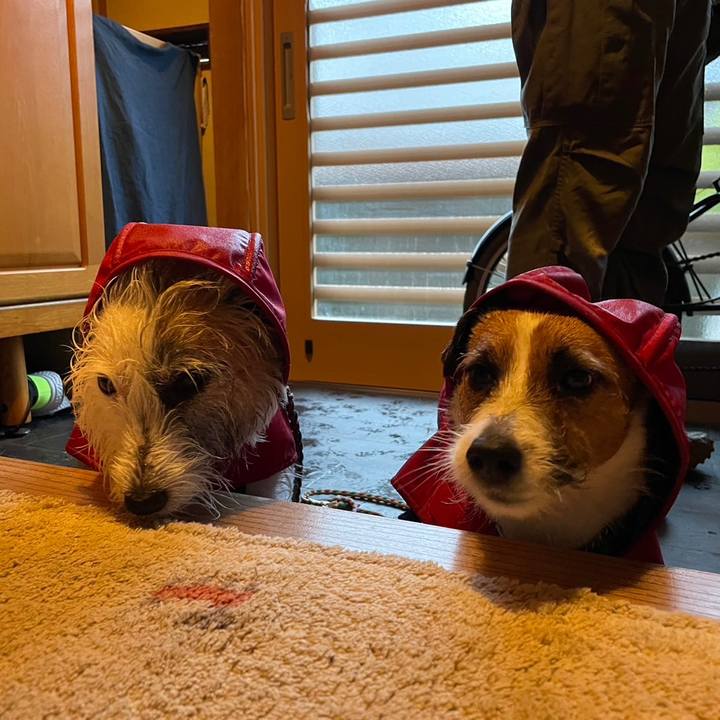 4d056263 b484 47d6 8cd4 d307d3e81ef4 1699319820611