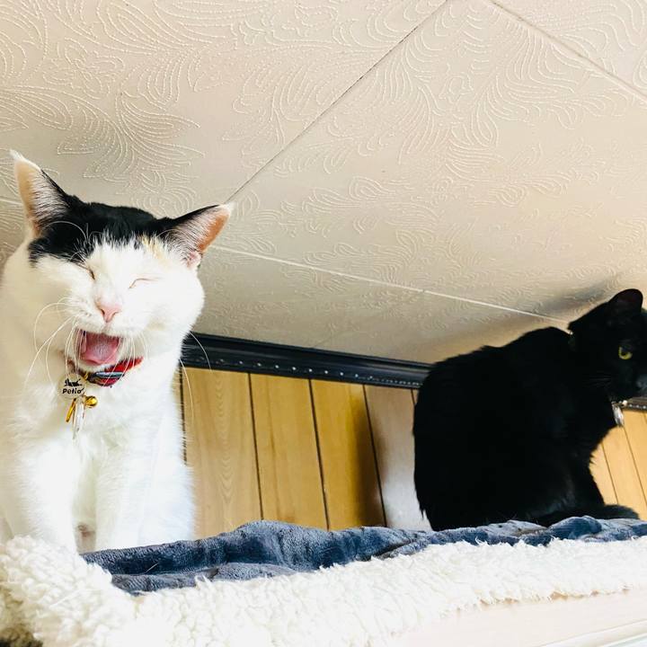 4d056480 0cb9 4691 bcbb 0597c395b2e2 1709996786944