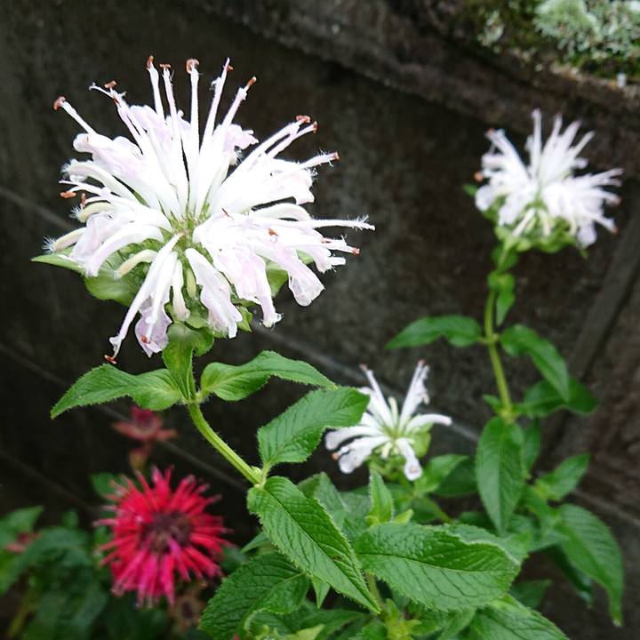 4d057097 49a0 48e2 b388 3921cd3b0550 1656041502353