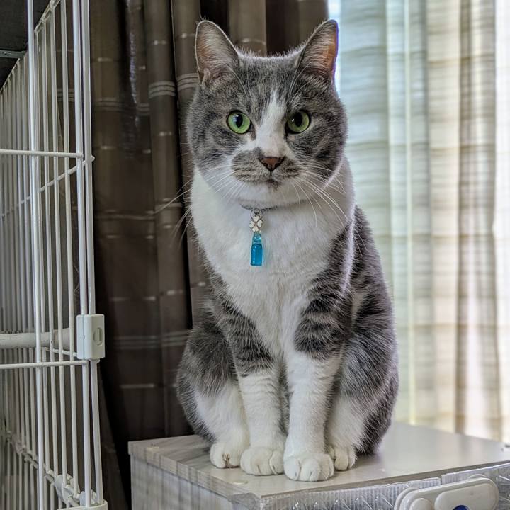 4d05cca5 44d3 491c bb49 0f2b65578b49 1746256723242