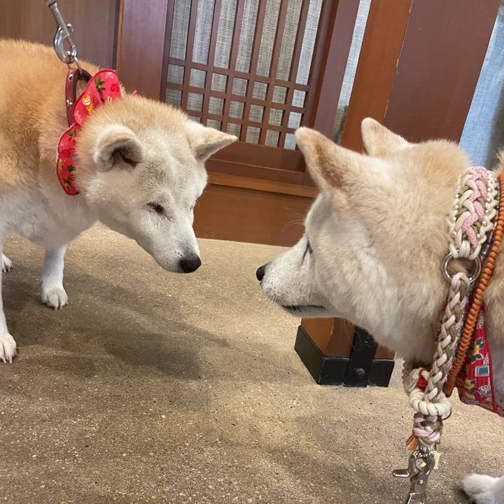 4d061962 3ed1 43a6 9bd2 a3a615407463 1688990674962