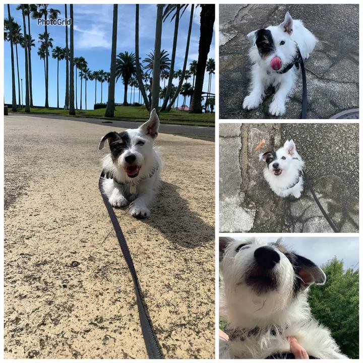 4d063231 906b 4f74 a901 1f16395cdbd6 1729305152217