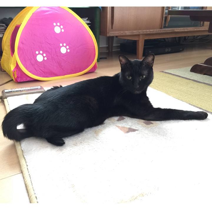 4d063dad a0b4 4e8a 988e 16dc383f1c5f 1581174489752