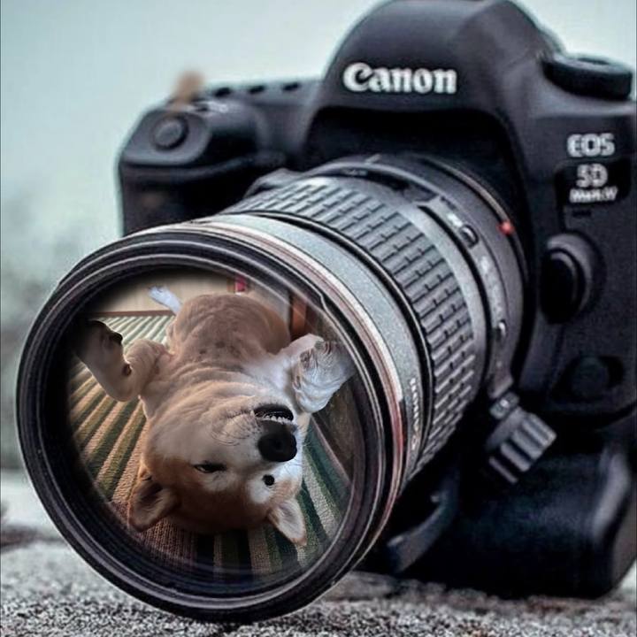 4d06a204 fde2 4f10 a855 816094301dba 1723814818620