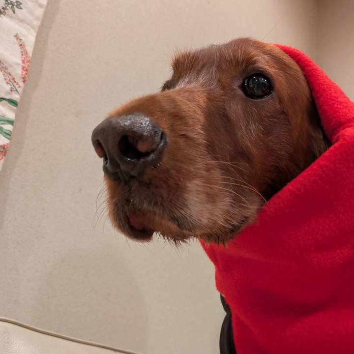 4d06f78d 2eaa 4721 86a9 e5646025db08 1758367380057