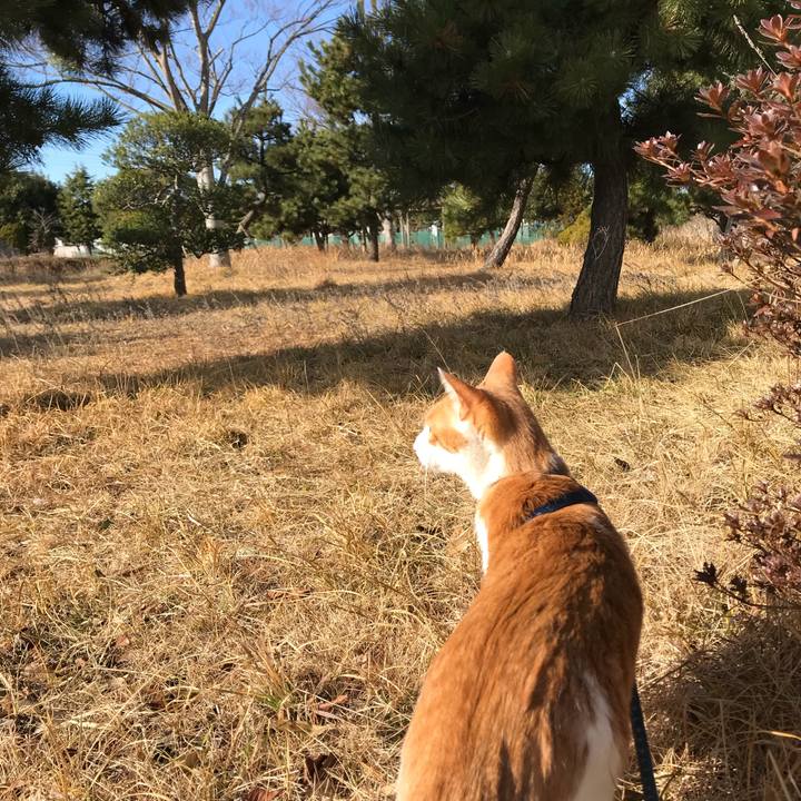 4d071fef ab3b 40e2 9f38 66681e023953 1515894550445