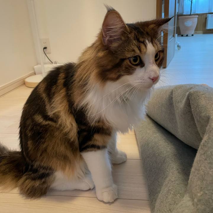 4d072e75 4a95 45a0 8f6c 370682bd39b3 1645394639991