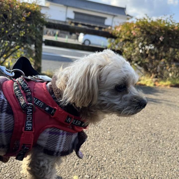 4d073564 8b93 4cb9 9ad9 49cb538a18d9 1735801459819