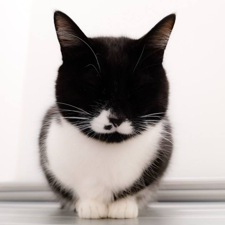 4d074592 b7fe 409c ad37 13fe0b000a57 1552858079106