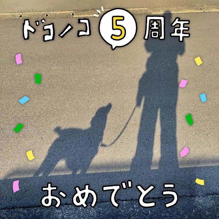 4d075afd 4c3e 4c1b a4df f0f7e7a5e57e 1622863692355