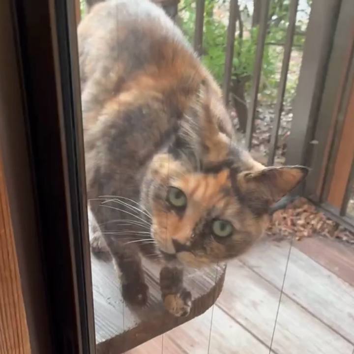 4d0785db 0149 4160 a8a1 4a5858eea755 1768448690545