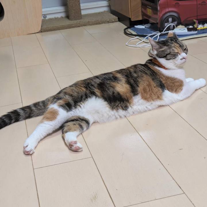 4d079fea 41b2 4ee8 9ece 296e3b6787a0 1760004960522