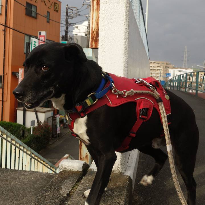 4d07a267 4521 4f7a 98bd 2359a91ff37c 1678667456271