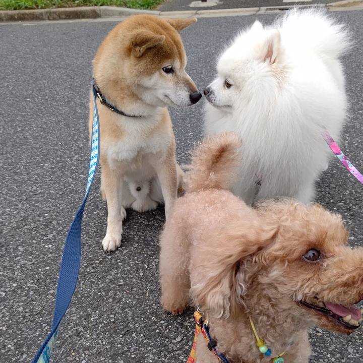 4d07b996 f1d5 4cd2 8cc4 59d94800d1c3 1598056157309