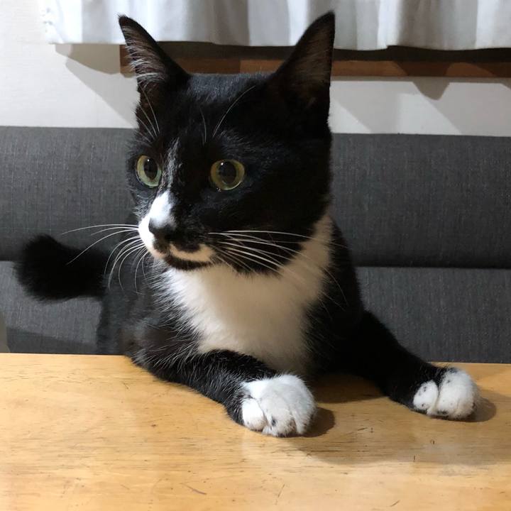 4d07e1e1 349c 4292 a8bd 8e4f0c65c3f2 1534223912821