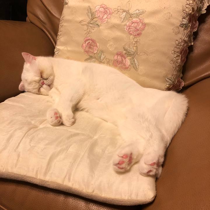 4d07f5b6 7900 4ffa a83f 029bed8abc5e 1575205498441