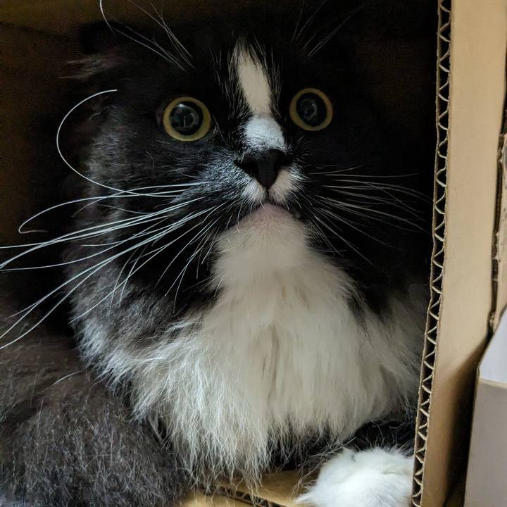 4d07fe3b c9b1 456e 8fd8 5f3f113cc0b9 1717252843350