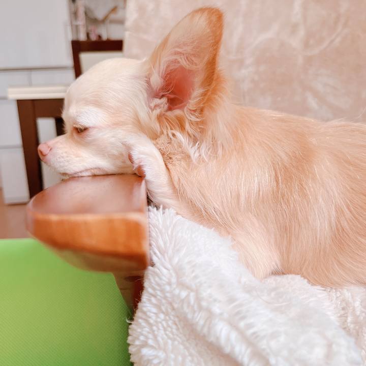 4d0822e4 e32f 499d 8b07 1193fb42bb50 1659773143273