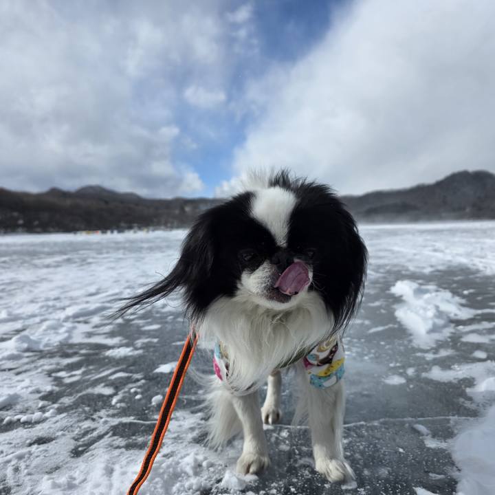 4d083d7d 9006 4571 a012 93a3f16c85ec 1769664061421