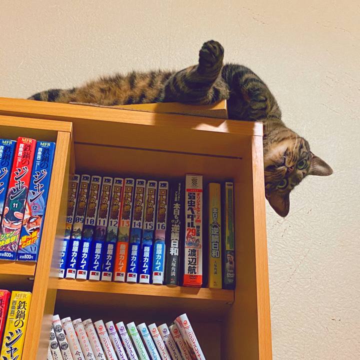 4d083fb3 8705 4194 a0d3 963d7b1a80d5 1663772918206