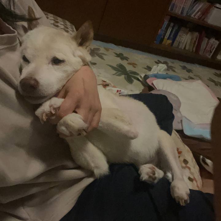 4d085d26 bb79 487e 88ed d7c6d7d6d9cd 1675369625934