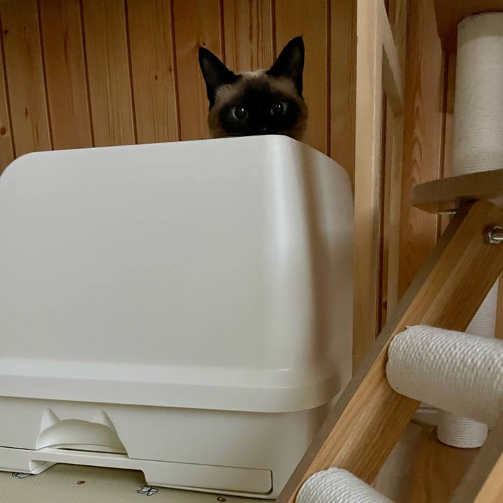 4d08a1cd b754 495e 821a 152dab90bf10 1716838771631