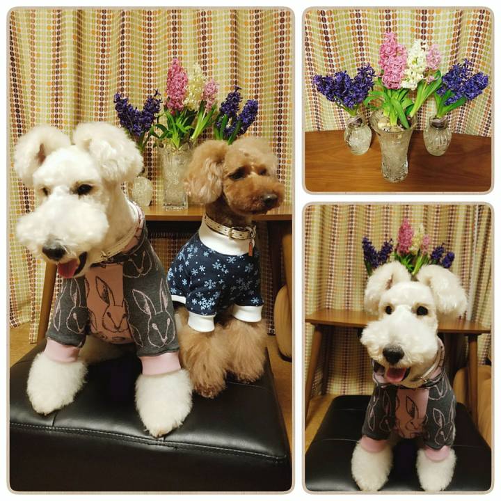 4d08c1f2 2dc9 407f 98e9 5c4b373ec46a 1518271248422