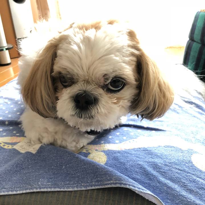 4d090780 7c43 405b a8cf faa553fdae2e 1541454442548