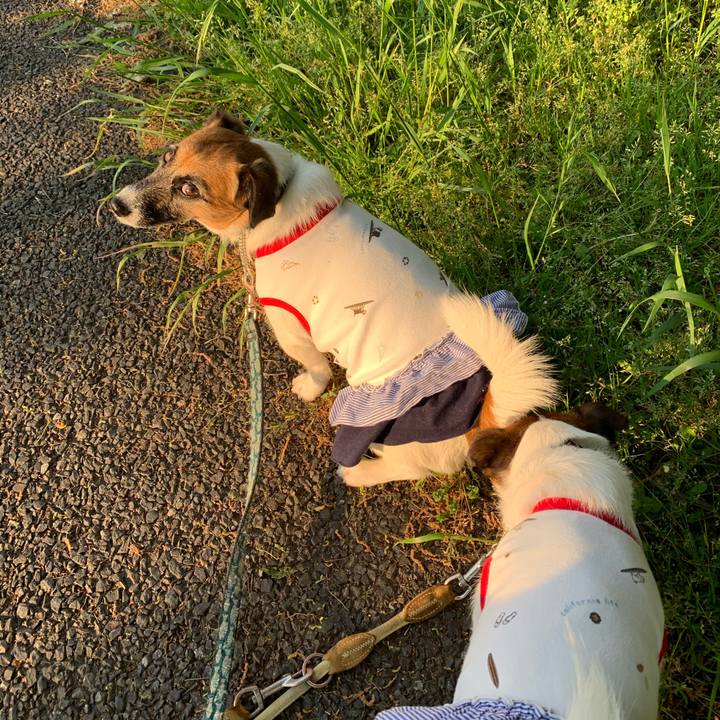 4d093501 e68a 4793 ad18 0271bf6df178 1588325949256