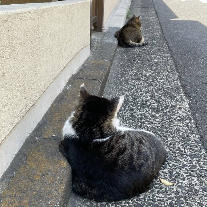 4d094270 3f70 47c8 9e69 8146a7452fce 1618904316041