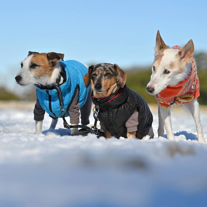 4d094808 676c 4825 9634 a1e82268acd0 1767440520023