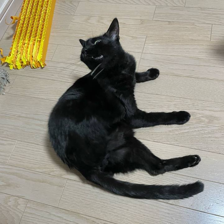 4d09d750 a1bb 4609 8670 acc6a9c87820 1734948323343