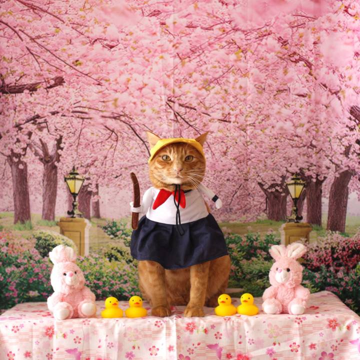 4d09edca 4718 4ff8 9a35 09dc1da0ddf5 1775203366321