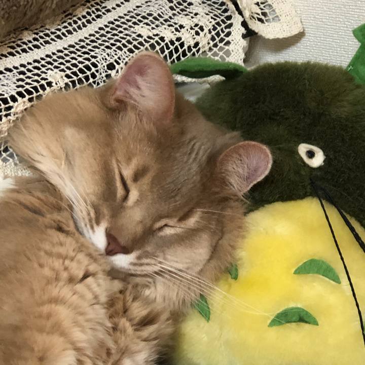 4d0a3bac b076 4d46 9c1a 9150acc2eab4 1620569549846